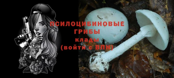 прущая мука Нея