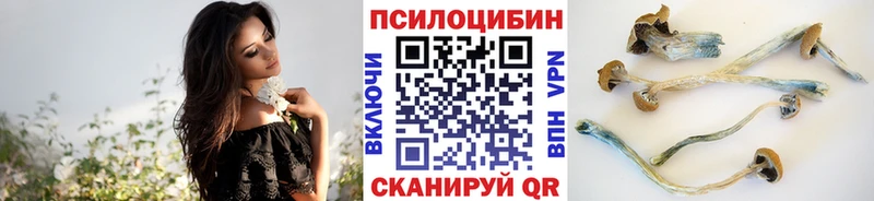 Галлюциногенные грибы прущие грибы  Купить  Миасс 